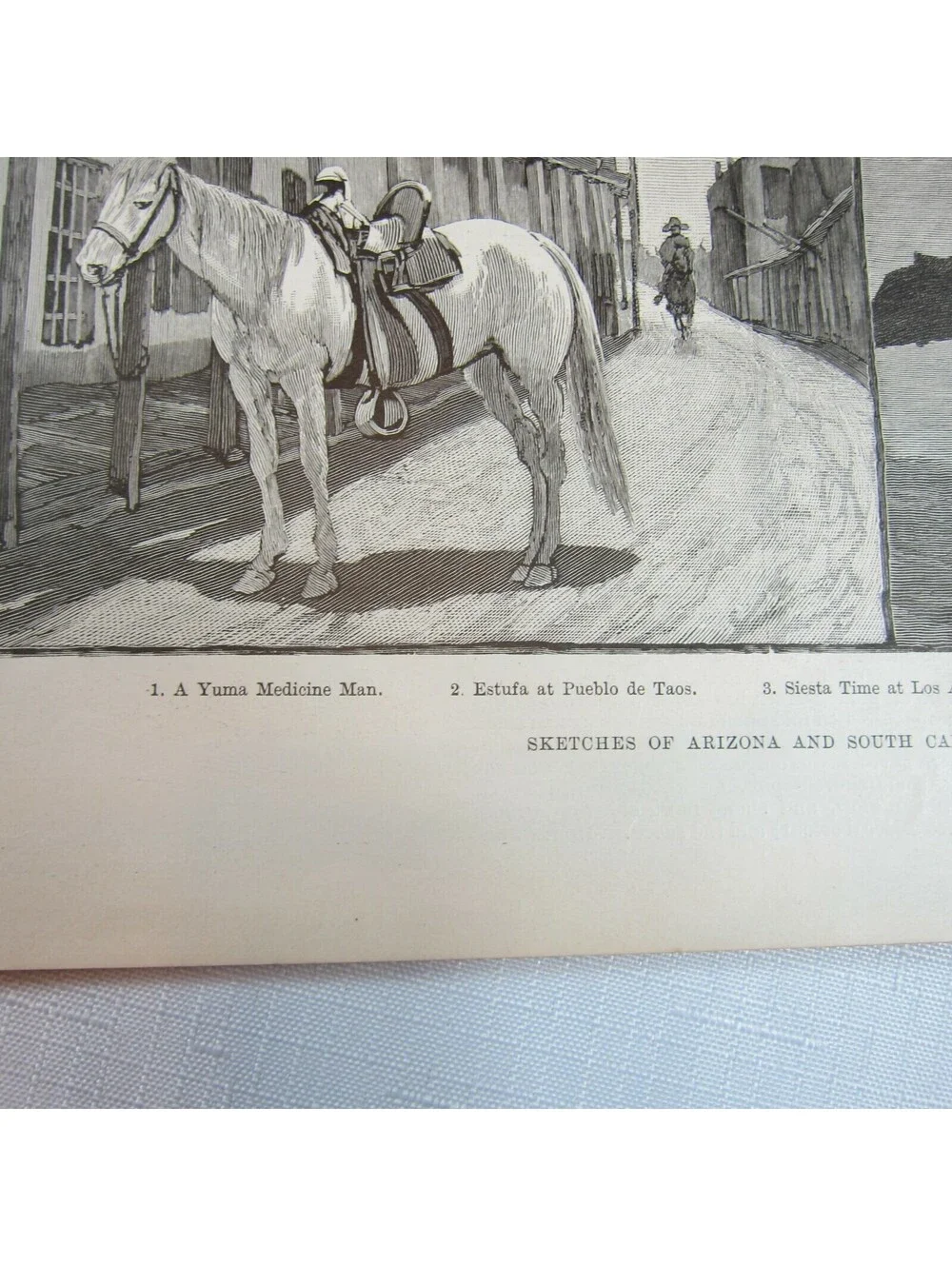 Antique 1888 Print 